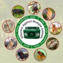 High volume solar warning lights to deter predators ( BUY 1 GET 1 FREE )